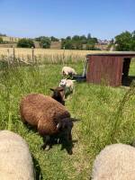 Mitten in den Feldern kommen und den Sonnenuntergang bewundern..