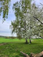 Neuenhainer See, Keltenburg Altenburg, Silbersse Frielendorf