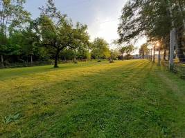 Zurück zu den Grundlagen mit den Apfelbäumen