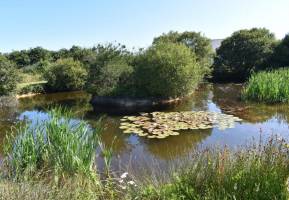 Campingplatz in Beuzec Cap Sizun, Bretagne neben dem GR 34