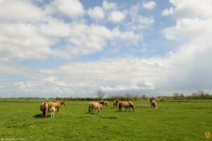 Camping Le Champ Neuf