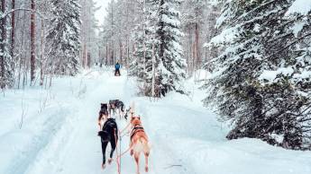 Winteravontuur Himos - Finland