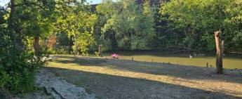 Campingplätze im Herzen von Utrecht in der Nähe eines idyllische