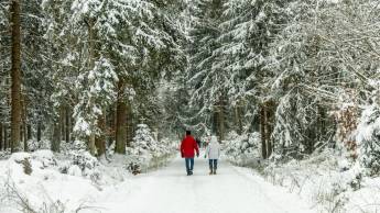 Werrapark resort Hotel Frankenblick