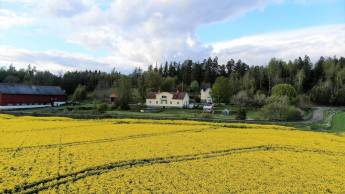 Erreichen Sie die Natur - einzigartige Landschaft auf dem Land i