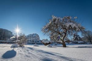 Hotel Plankenhof B&B