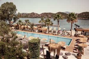 Cook's Club Adakoy