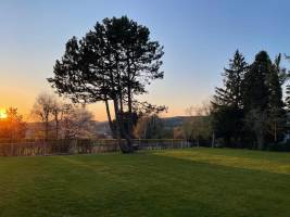 Naturcamping im Baumhaus in der Nähe von Wien