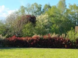 Füße auf dem Boden, Nase in der Hecke, Kopf in den Sternen!