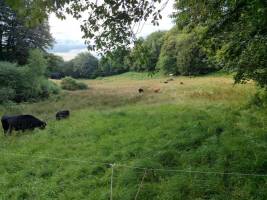 Campingplatz in TEYSSIEU, Okzitanien