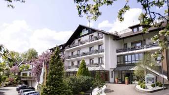 Hotel Birkenhof (Bad Soden-Salmünster)