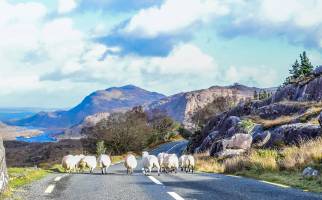 9-daagse fly-drive Zuid en West-Ierland & Dublin - Ierse Geheime