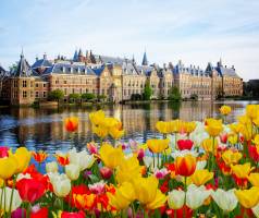 The Hague Marriott Hotel | Erleben Sie Stadt, Wald und Strand in
