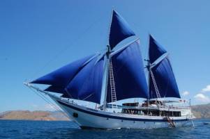 Cruise Ombak Putih of Katharina: 8 dagen varanen, walvishaaien &