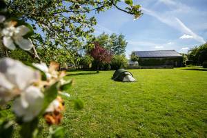 Der Obstgarten