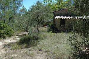 Ein absolutes ZEN-Erlebnis!