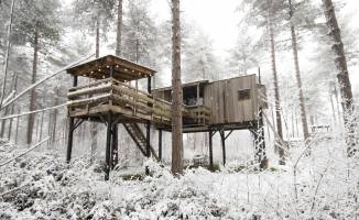 Treetop met hottub