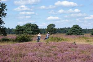 6-daagse fietsrondreis De Ronde van Drenthe