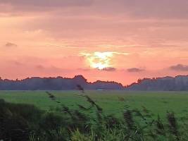 Alternatives Camping – Natur, Gemeinschaft, Hundefreundlich