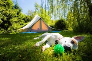 Silent Cocoon Room, ein ruhiger, untypischer Campingplatz in Lux
