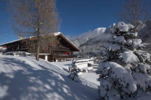 Apartmenthaus Jagdhof