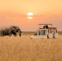 Groepsrondreis Zuidelijk Afrika Hoogtepunten