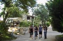 Camping Universal
