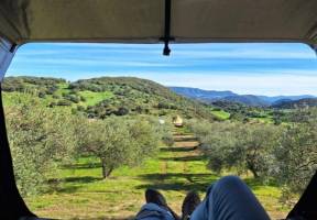 Oase der Ruhe mitten in der Natur