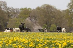 Fietsvakantie door Drenthe