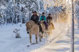 Winter paardrijtocht 1,5 uur, Trysil