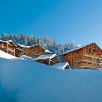 Résidence L'Oree des Cimes - Voordeeltarief