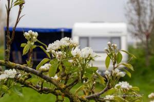 Ruhig und gemütlich auf dem Noorderrand-Hof im IJsseldelta auf K
