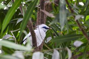 Trekking in het Nationale Park van Bali