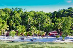 Bouwsteen 8 dagen duiken Raja Ampat - Cove Eco resort