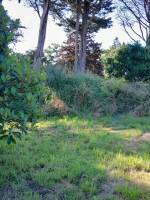 Ruhige Grünfläche in einem ländlichen Weiler, nur einen Steinwur