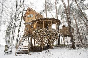 Tree House 3