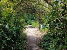 Naturcamping an der Müggelspree in Berlin