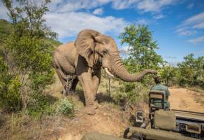 Grand Tour Zuid-Afrika Deluxe
