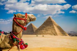 8-daagse rondreis Het Noorden van Egypte