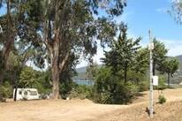 Camping Tikiti