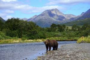 Cruise Alaska & Hawai - Gletsjers en Vulkanen