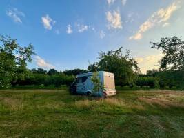 Camping zwischen Nussbäumen, Maaseik