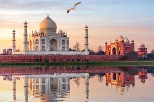 Rondreis Hoogtepunten van India