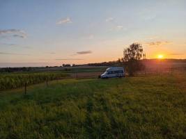 Blick auf die Kathedrale im Herzen der Felder