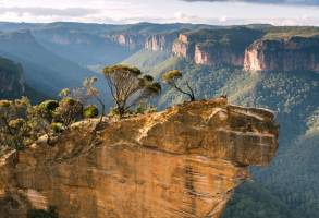 Kusten, Koraal en Regenwoud in Oost-Australië Superior