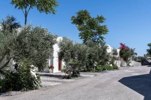Splendour Resort