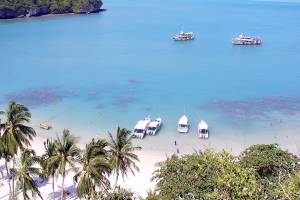 11-Daagse strandvakantie Bangkok en Koh Samui (Deluxe)