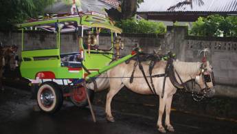 Rondreis 14 dagen Ongerept Lombok