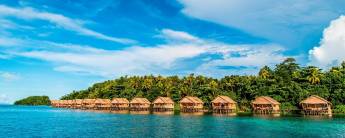 Bouwsteen 8 dagen duiken Papua Paradise - Raja Ampat