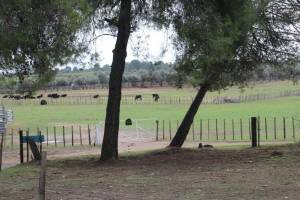 Campingplatz in Castries